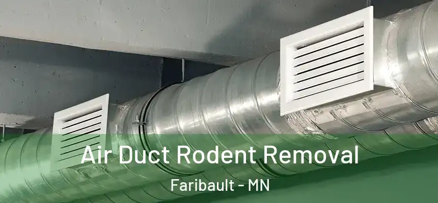  Air Duct Rodent Removal Faribault - MN