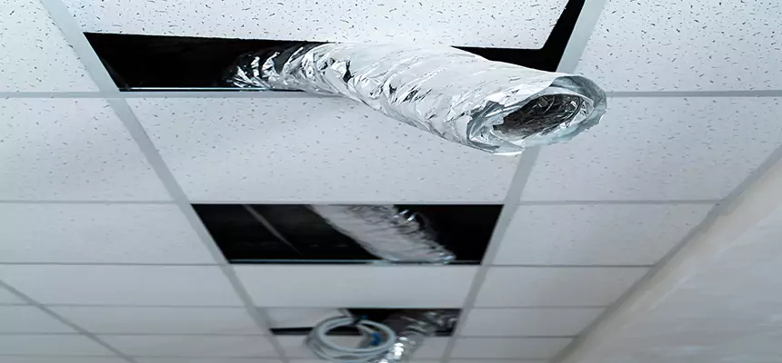 Our Air Duct Pet Hair Removal Services in Faribault, MN