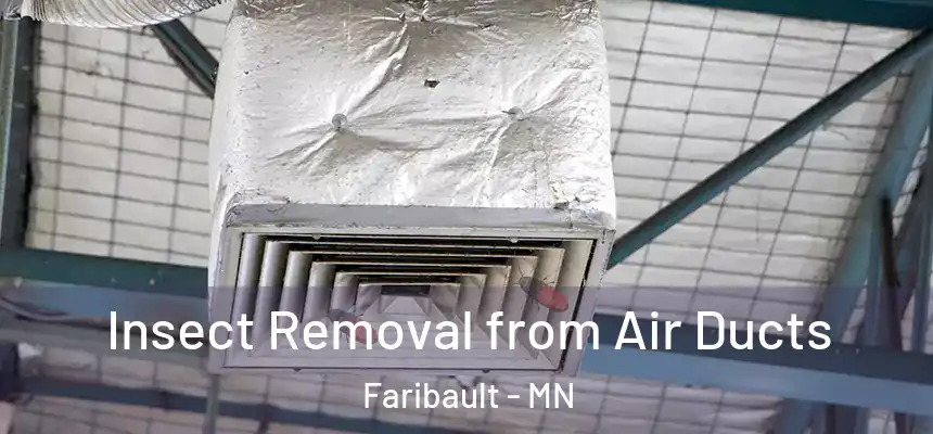  Insect Removal from Air Ducts Faribault - MN