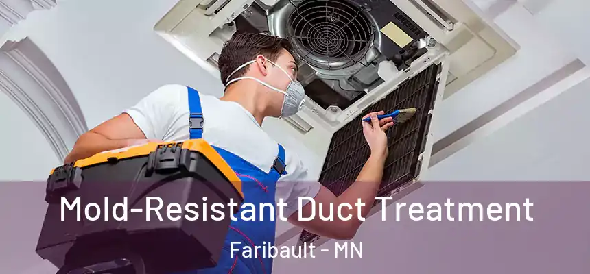  Mold-Resistant Duct Treatment Faribault - MN