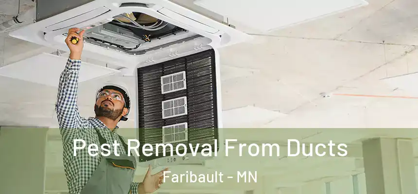  Pest Removal From Ducts Faribault - MN