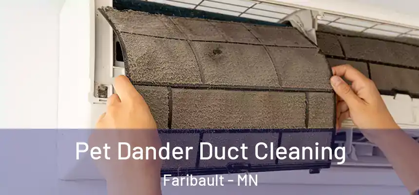 Pet Dander Duct Cleaning Faribault - MN